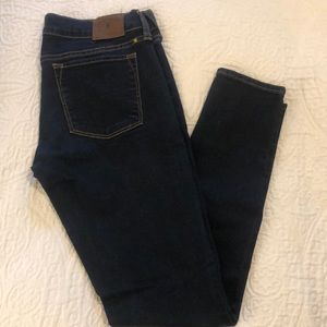 Lucky Brand Charlie Skinny Jean